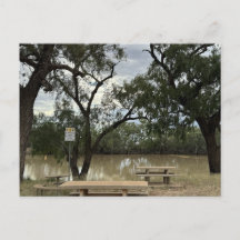 タンノックワイアのピクニックエリア。