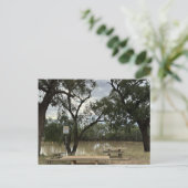 タンノックワイアのピクニックエリア。 ポストカード (スタンド正面)