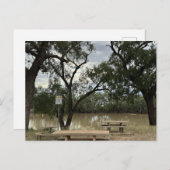 タンノックワイアのピクニックエリア。 ポストカード (正面/裏面)