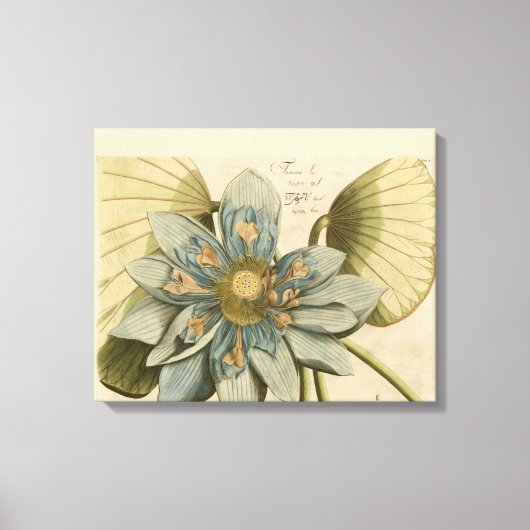 タンバックグラウンドに咲く青い蓮書の花 キャンバスプリント (正面)