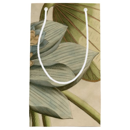 タンバックグラウンドに咲く青い蓮書の花 スモールペーパーバッグ (正面)