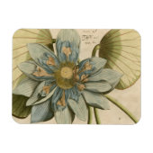タンバックグラウンドに咲く青い蓮書の花 マグネット (横)