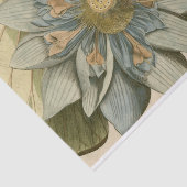 タンバックグラウンドに咲く青い蓮書の花 薄葉紙 (詳細)