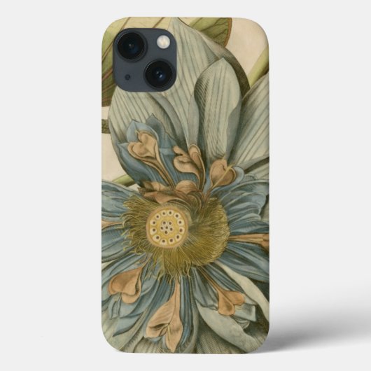 タンバックグラウンドに咲く青い蓮書の花 Case-Mate iPhoneケース (裏面)