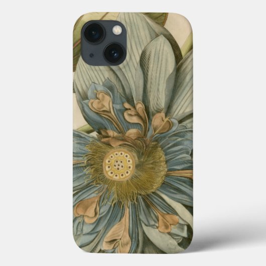 タンバックグラウンドに咲く青い蓮書の花 Case-Mate iPhoneケース (裏面)