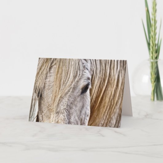 タンバーホースのグリーティングカード シーズンカード (正面)