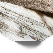 タンバーホースのポスター フォトプリント            (角)