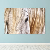 タンバーホースを巻いたキャンバス キャンバスプリント (インサイチュ (ウッドフロア))