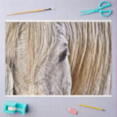 タンバーホースティッシュペーパー 薄葉紙 (クラフト)