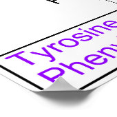 タンパク原性アミノ酸図の異化作用 ポスター (角)