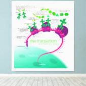 タンパク質合成図におけるRNA翻訳 キャンバスプリント (インサイチュ (ウッドフロア))