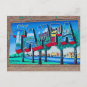 タンパフロリダシティムラル シーズンポストカード (正面)