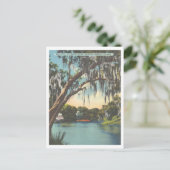 タンパフロリダヒルズボローリバーサルファー春 ポストカード (スタンド正面)