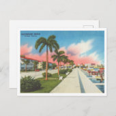 タンパフロリダヴィンテージベイショアドライブアンドマリーナ ポストカード (正面/裏面)