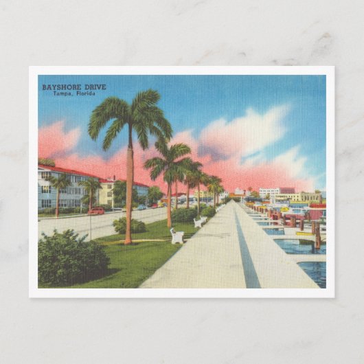 タンパフロリダヴィンテージベイショアドライブアンドマリーナ ポストカード (正面)