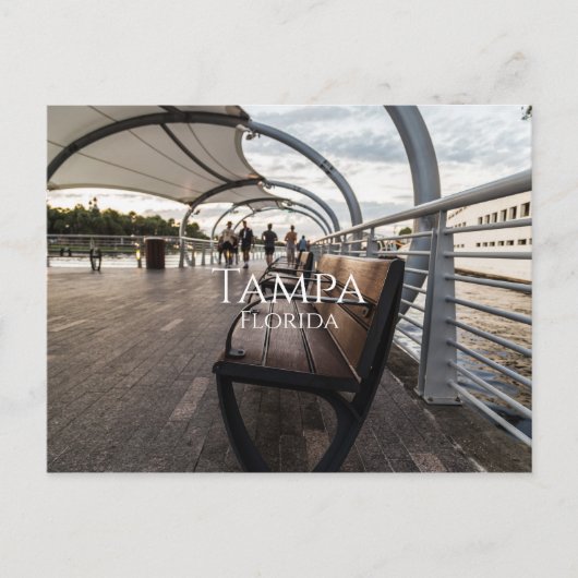 タンパフロリダ ポストカード (正面)