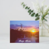 タンパフロリダ ポストカード (スタンド正面)