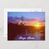 タンパフロリダ ポストカード (正面/裏面)