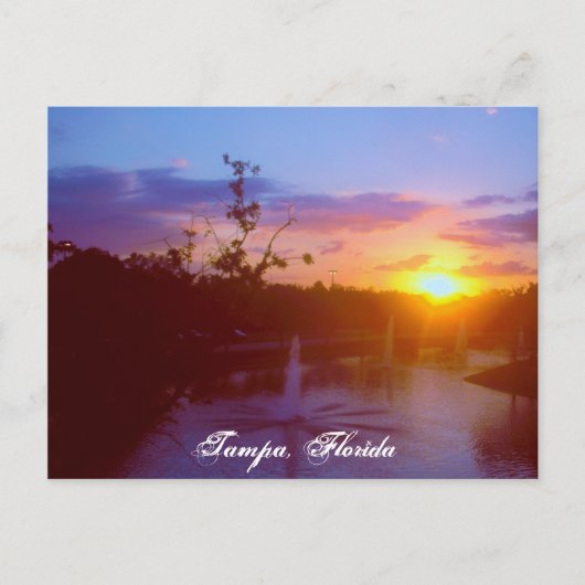 タンパフロリダ ポストカード (正面)