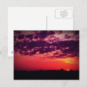 タンパベイサンセット ポストカード (正面/裏面)