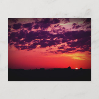 タンパベイサンセット ポストカード