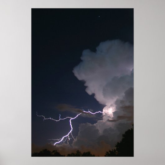 タンパベイ稲妻 ポスター (正面)