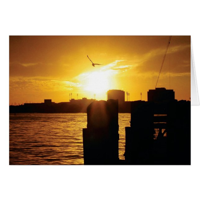 タンパベイ (正面横)