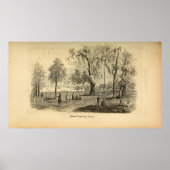 タンパ湾の景色 ポスター (正面)