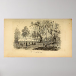 タンパ湾の景色 ポスター