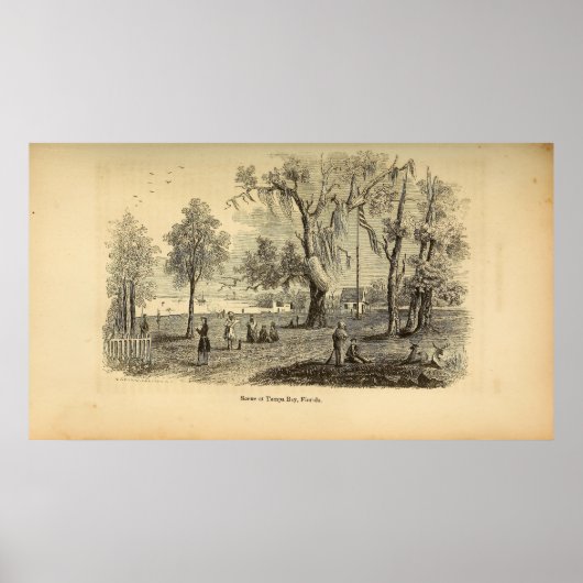 タンパ湾の景色 ポスター (正面)