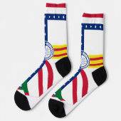 タンパ（フロリダ州）市旗 ソックス (左)