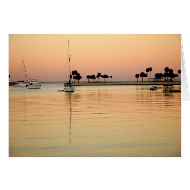 タンパ、フロリダ (正面横)