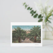 タンパ， FL – バラストポイントパーク入口のビュー ポストカード (スタンド正面)