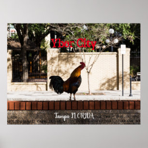 タンパFLORIDA,イボールシティ ポスター
