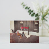 タンパFLORIDA,イボールシティ ポストカード (スタンド正面)