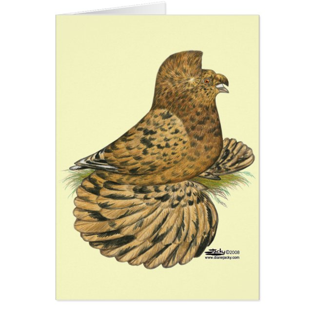 タンピーターピジョンアーモンド (正面)