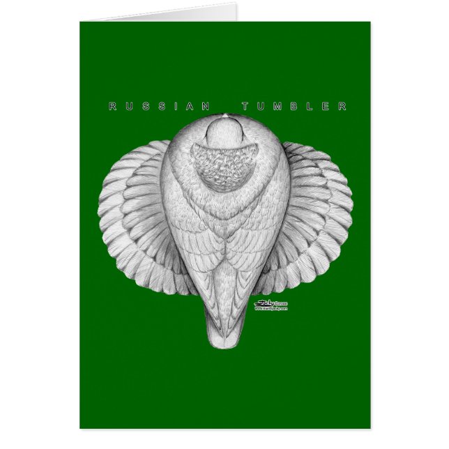 タンブラロシアのーの上面 (正面)