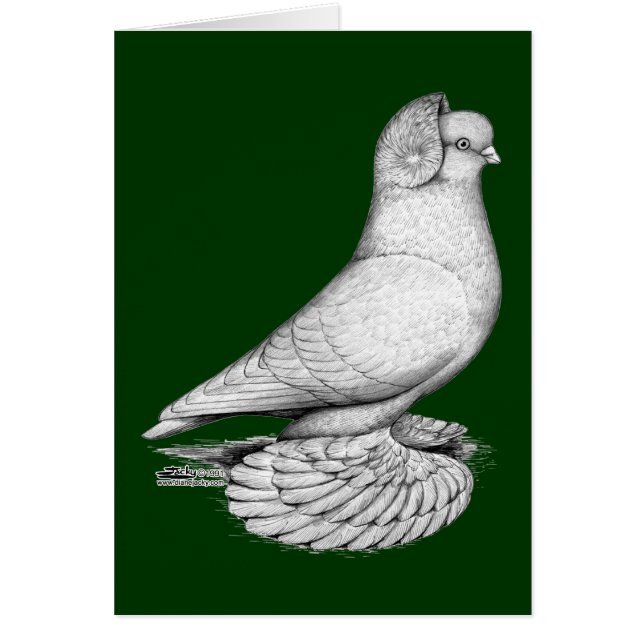 タンブラーロシアのピジョン (正面)