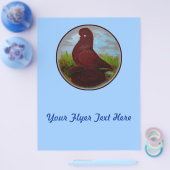 タンブラー鳩レッドマフ チラシ (シングル)