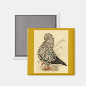 タンブラー鳩LFCLスプラッシュ マグネット (正面/裏面)