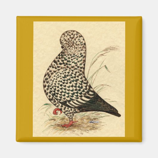 タンブラー鳩LFCLスプラッシュ マグネット (正面)