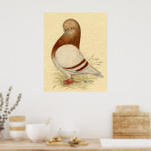 タンブラー・ピジョン： LFCL Mealy ポスター (キッチン)