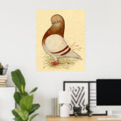 タンブラー・ピジョン： LFCL Mealy ポスター (ホームオフィス)