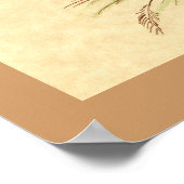 タンブラー・ピジョン: LFCL Mealy ポスター (角)