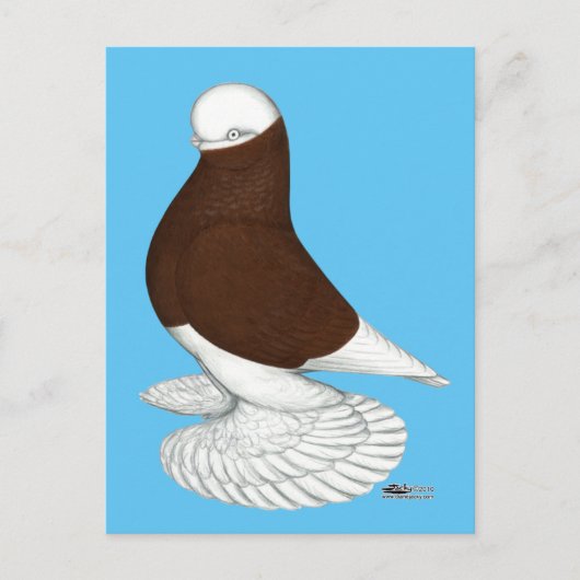 タンブラー：赤禿の吹き付け ポストカード (正面)