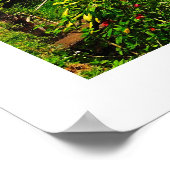 タンブリンガン湖 ポスター (角)