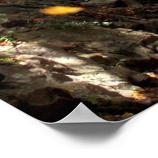 タンブル葉 ポスター (角)