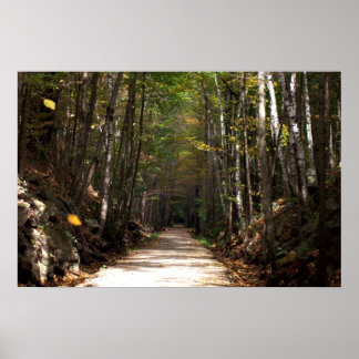 タンブル葉 ポスター