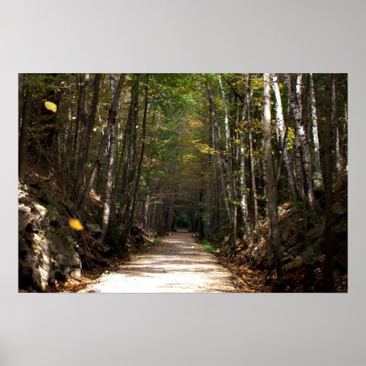 タンブル葉 ポスター (正面)