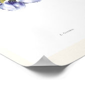 タンベルジアグランジフローラ ポスター (角)